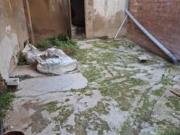 Piso Venta Gandia, Corea Piso Venta Gandia, Corea