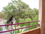 Piso Venta Guardamar del Segura, Guardamar del Segura