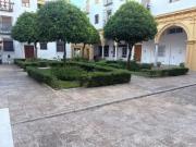 Piso Venta Jerez de la Frontera, Centro