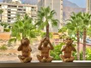 Piso Venta La Vila Joiosa Villajoyosa, Cala de Villajoyosa