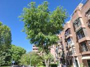 Piso Venta Madrid Capital, Casco Histórico de Vallecas