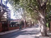 Piso Venta Málaga Capital, El Limonar El Mayorazgo...