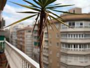 Piso Venta Murcia Capital, Santa Catalina San Bartolomé