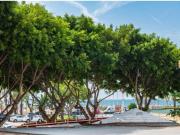 Piso Venta Orpesa Oropesa del Mar, Platja de La Conxa