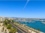 Piso Venta Palma de Mallorca, El Terreno