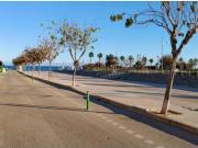 Piso Venta Pilar de la Horadada, Núcleo