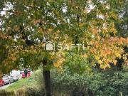 Piso Venta Pontevedra Capital, Fernández Ladreda Ciudad...