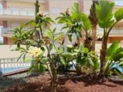 Piso Venta San Miguel de Abona, San Miguel de Abona