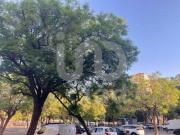 Piso Venta Sevilla Capital, La Oliva Polígono Sur Piso Venta Sevilla Capital, La Oliva Polígono Sur