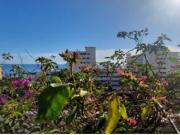 Piso Venta Torremolinos, El Bajondillo