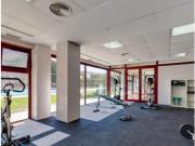 Piso Venta Villanueva del Río Segura, Villanueva del Río...