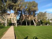 Piso, Vista Mar, Oropesa del Mar