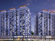 Pisoli Shop Shop For Sale Pune