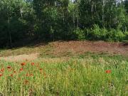 Plaine 67420 Achat / Vente terrain