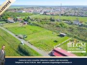 Plaisance du Touch, Maison de 150m2 avec pension canine...