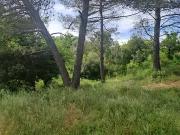 Plan d'Aups Sainte Baume 83640 Programme neuf...