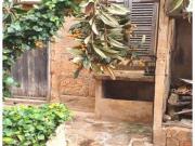 PLANTA BAJA CON JARDÍN EN SON RAPINYA De origen