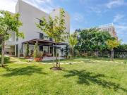 Planta baja en alquiler en Pollença