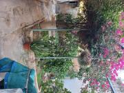 Planta baja en venta en Baleares Palma de Mallorca, Son...