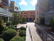 Planta baja en Venta en Buenavista