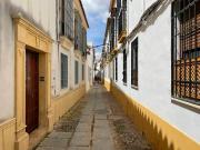 Planta baja en Venta en Casco Histórico Ribera San Basilio