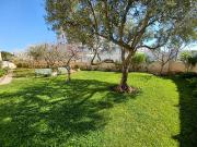 Planta baja en Venta en Cunidor