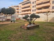 Planta baja en venta en Lloret de Mar, Fenals Costa...