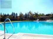 Planta baja en venta en Marbella