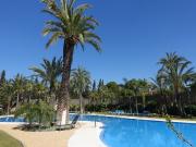 Planta baja en Venta en Nueva Andalucía centro