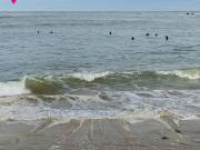 Planta baja en Venta en Palacio