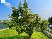 Planta baja en venta en Reocín. DESCUBRE TU REFUGIO EN...