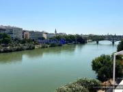 Planta baja en Venta en Triana Casco Antiguo