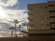 Planta Baja Venta Murcia