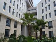 Plateaux de bureaux à partir de 255m² à CFC