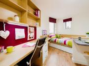 Platinum Plus Studio