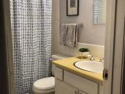 Plaza Del Sol Apartments 1 Bedroom Apartment for Rent at...