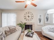 Plaza DeVille Silver Maple