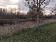 Ploisy Vente Terrain 02