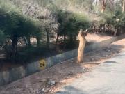 Plot 2400sft 636cr Sahaka 2400 Sq. Ft. Plot in Achit...