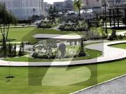 Plot # d 149 commercial plot located in the best block...