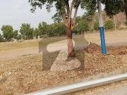 Plot File For Sale In DHA Valley