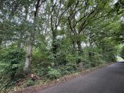 Plot for sale