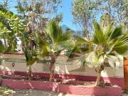 Plot For Sale 500 Yard Dha Phase 6