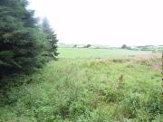 Plot for sale