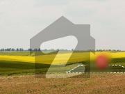 We offer's to investor plot for sale dha phase 7 ext...