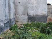 Plot For Sale In Bagu, 56, Bypass, Krishna Nagar, Christian