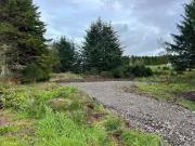 Plot For Sale In Drybridge, Buckie, Moray, AB56