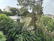 Plot For Sale In The Heart Of City