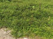 Plot For Sale In Uran