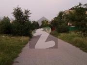 Plot For Sale On Investor Price